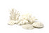 Little Wonders Coral (7 Pieces)